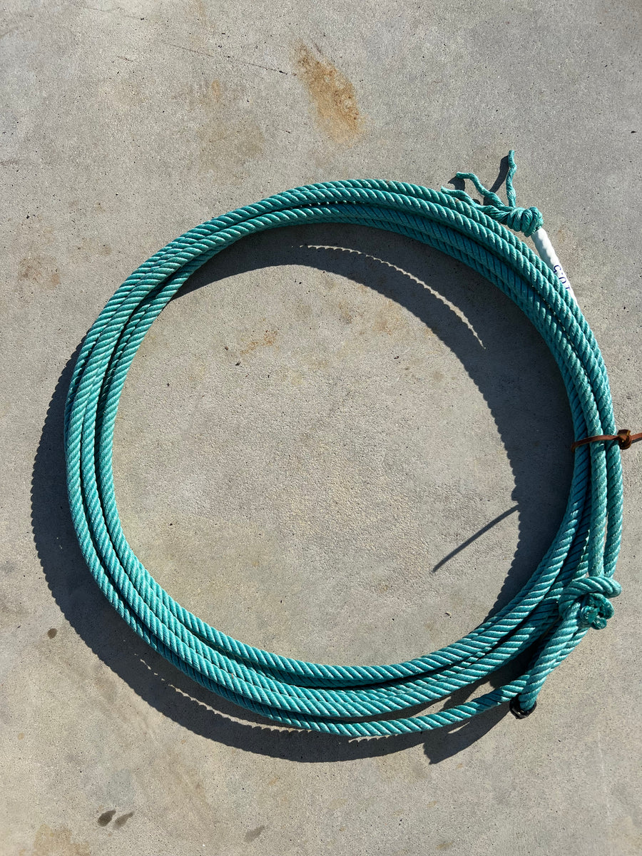 4 Strand blue synco poly calf rope – Webb Ropes